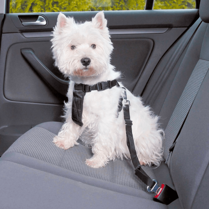 PetAllure™ Dog Car Seat Belt