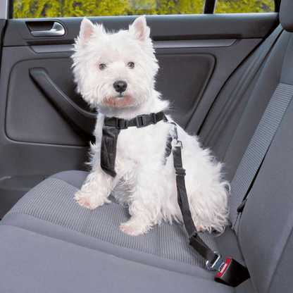 PetAllure™ Dog Car Seat Belt