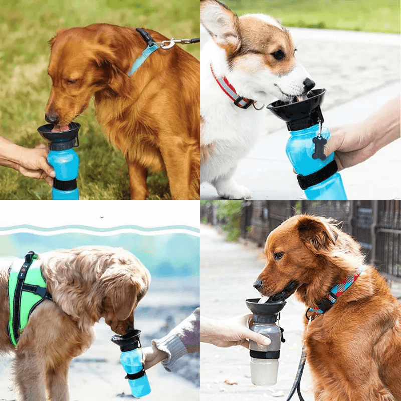 PetAllure™ Travel Dog Water Bottle